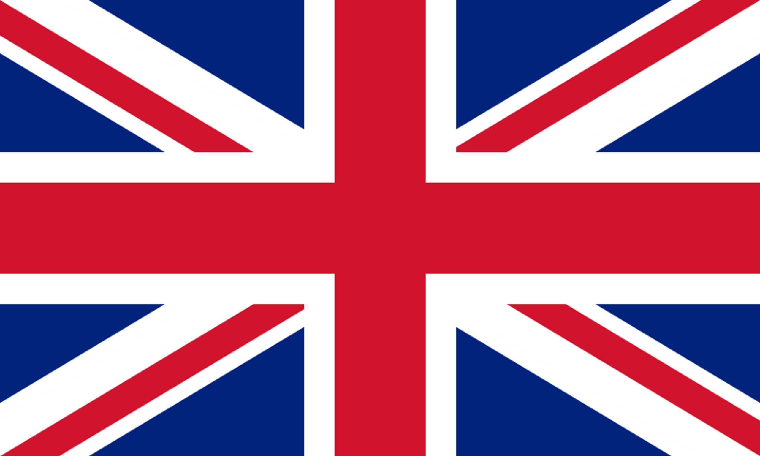 Selected flag